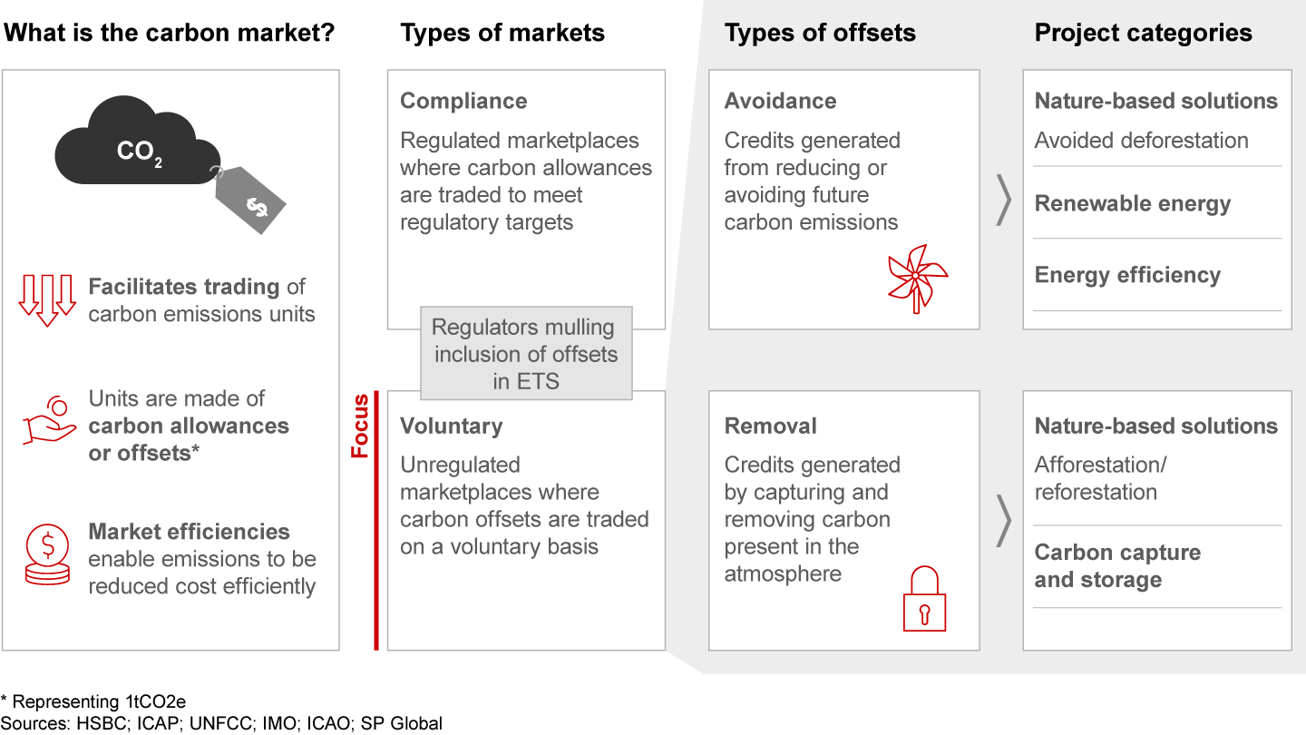 Carbon markets are critical in our fight against climate change